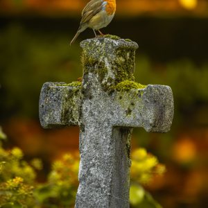 ROUGEGORGE FAMILIER — Père Lachaise