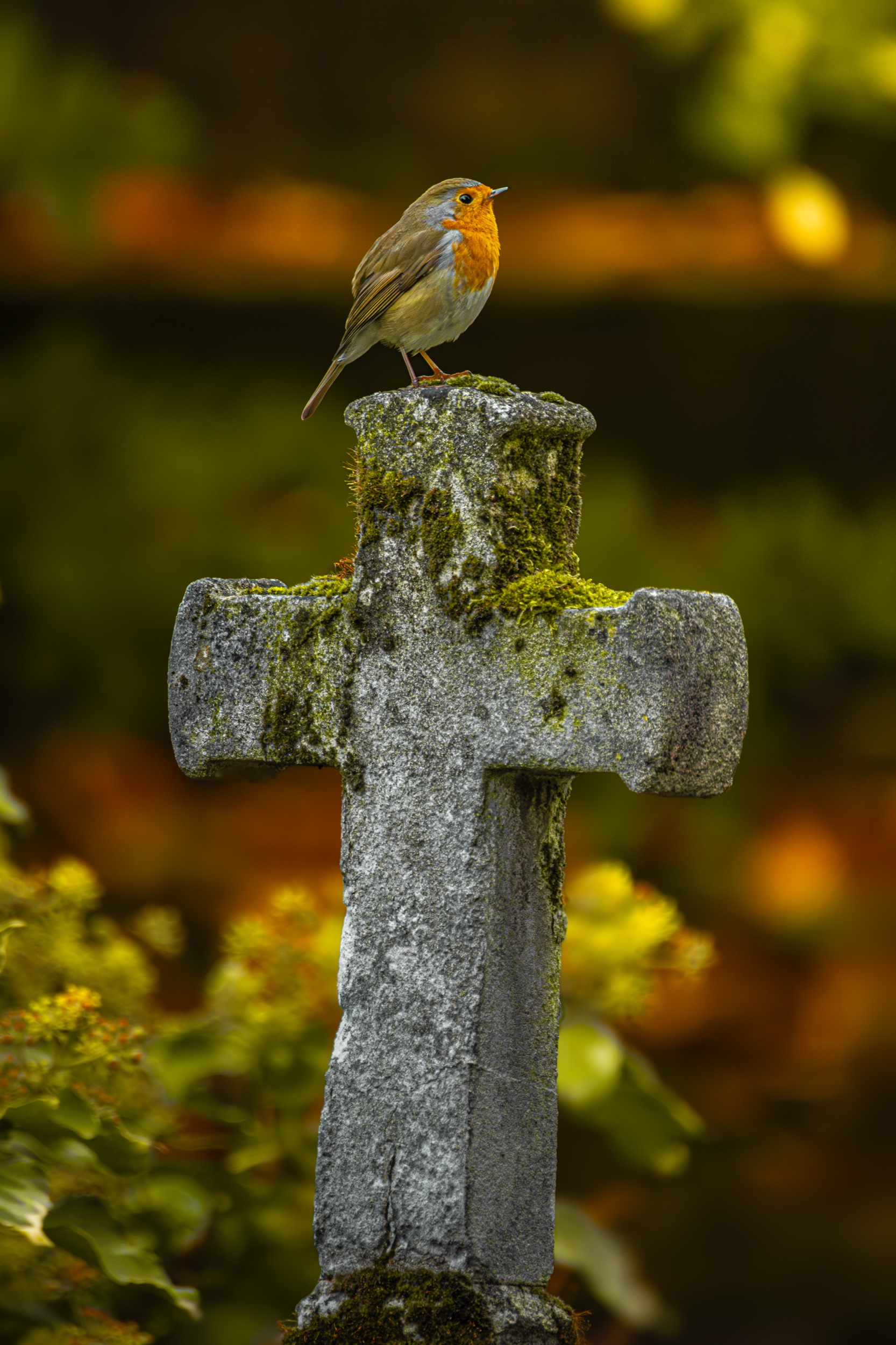 ROUGEGORGE FAMILIER — Père Lachaise